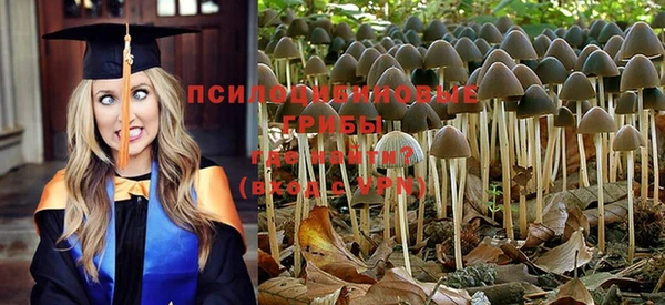 MDMA Premium VHQ Бронницы