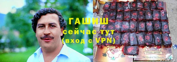 стафф Бородино