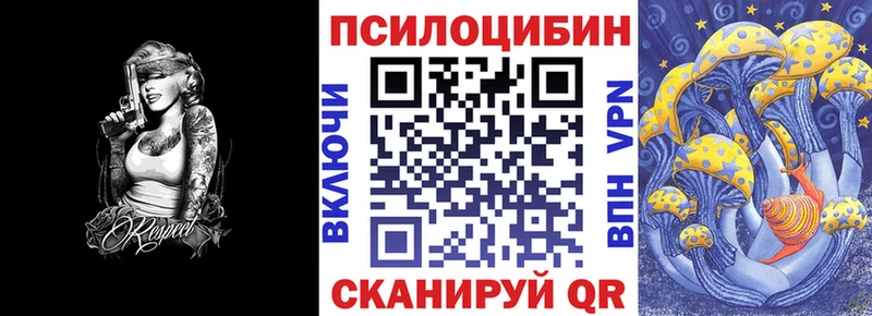 Галлюциногенные грибы Psilocybine cubensis  Купить  Кирс 